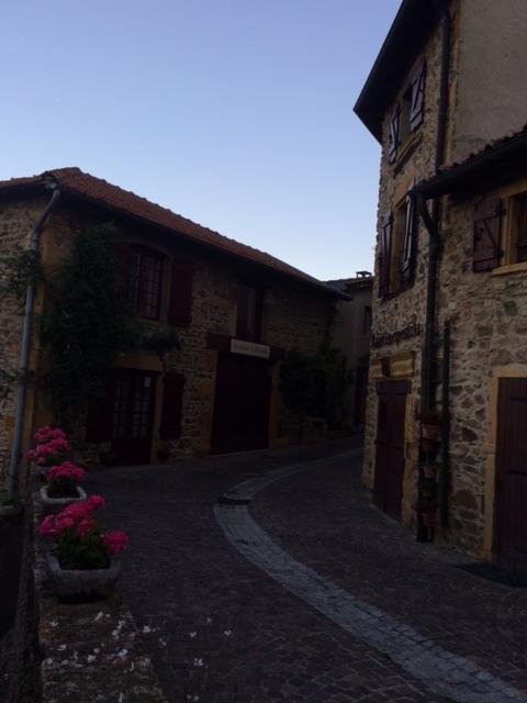 Vila La Dame De Messignac Ternand Exteriér fotografie